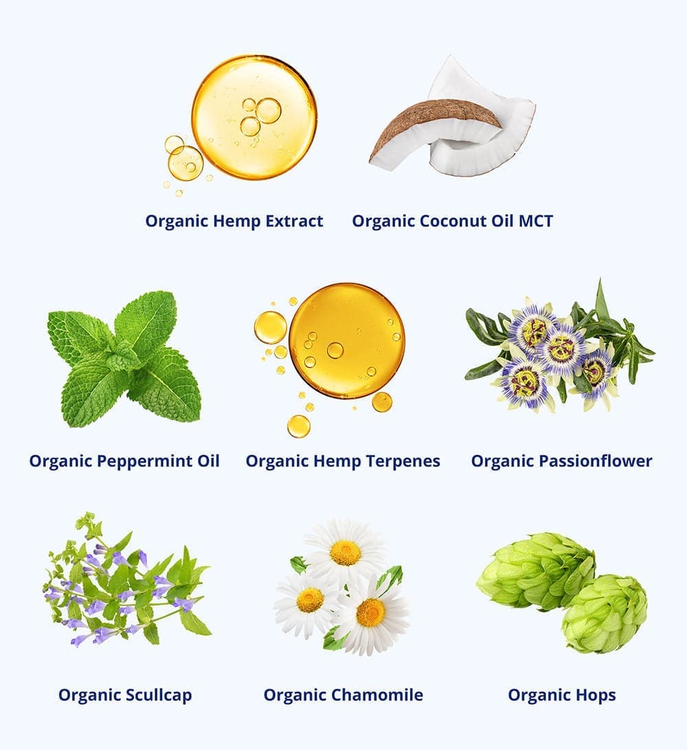 Sleep Bundle - Organic Sleep Drops