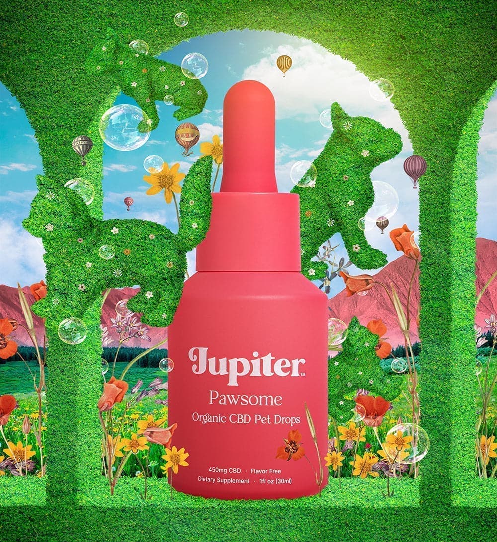 Pawsome - Organic CBD Pet Drops