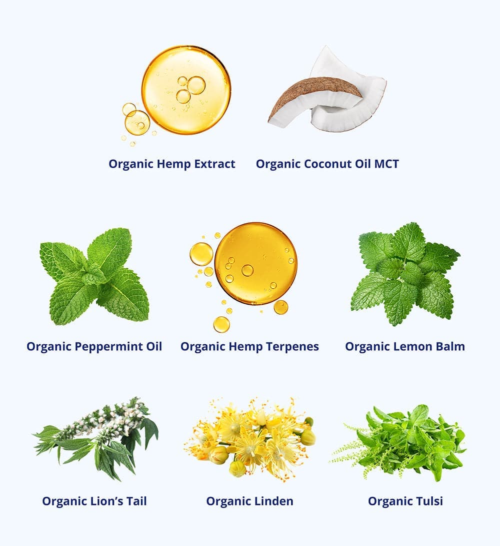 Calm Bundle - Organic Calm Drops
