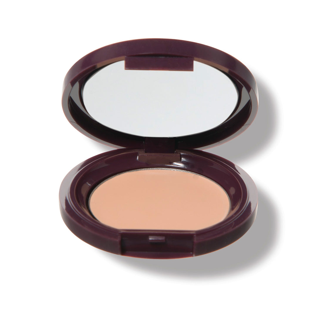 Fruit Pigmented® Long Last Concealer