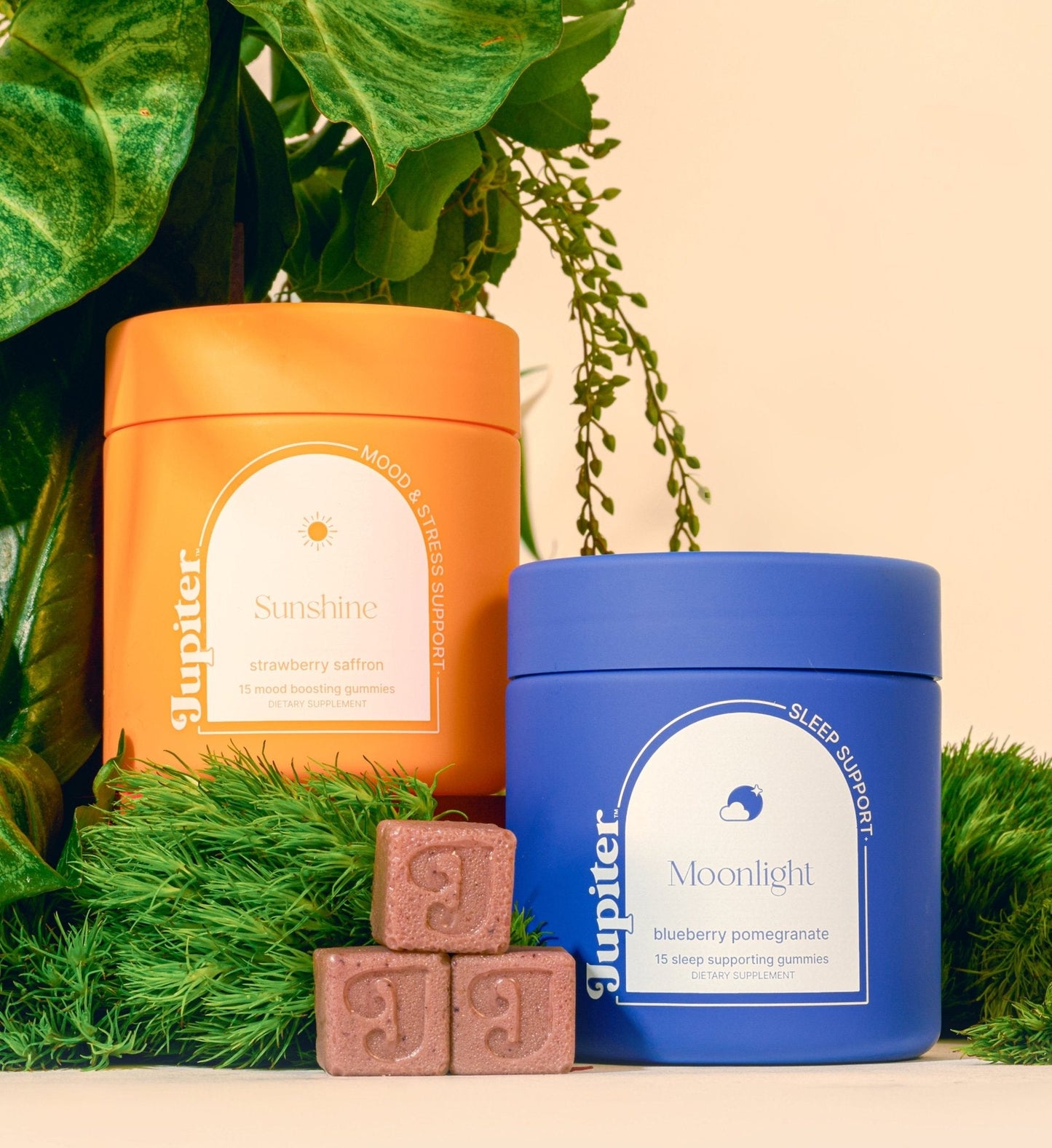 Day & Night Gummy Bundle