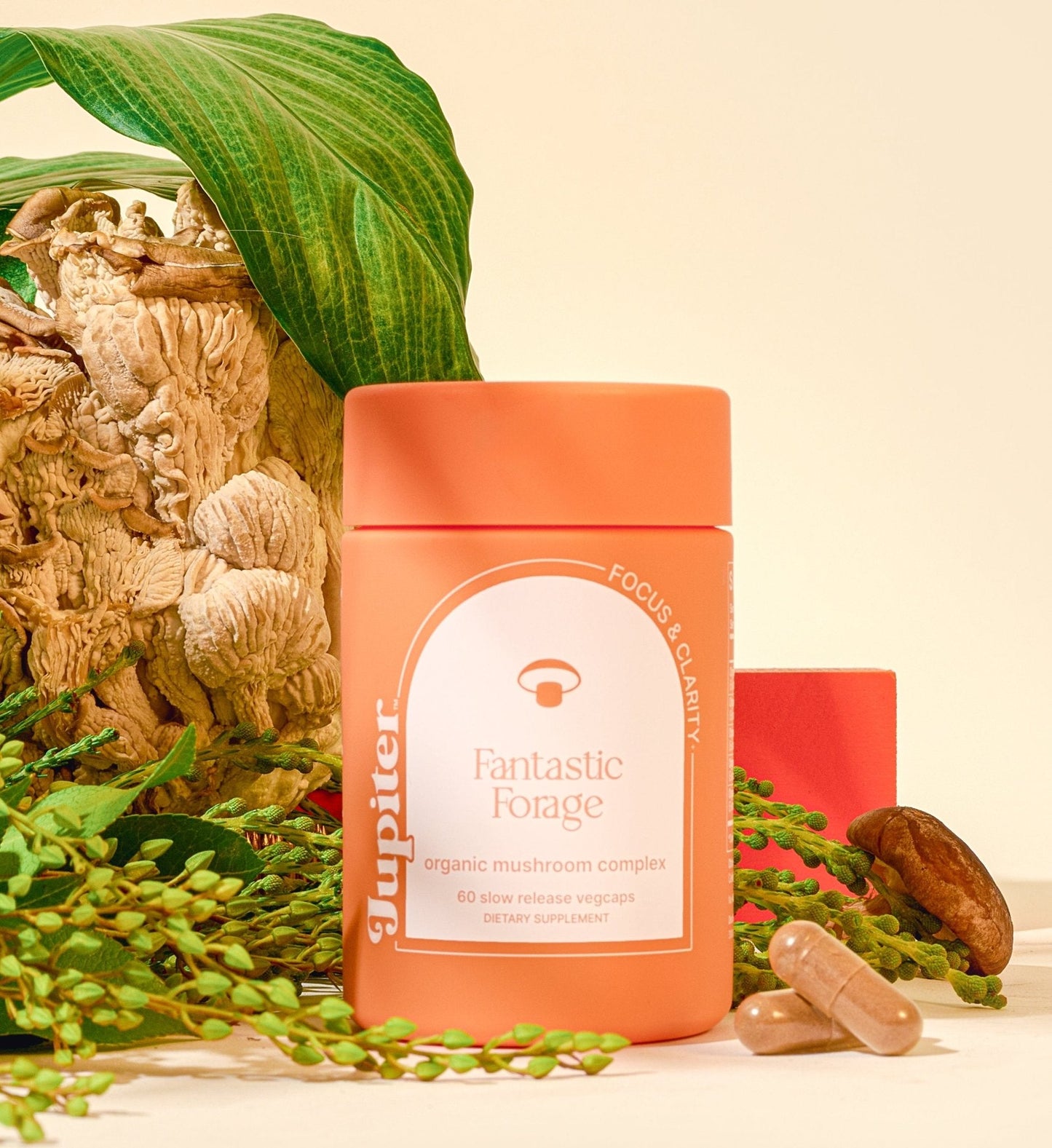 Fantastic Forage - Focus & Clarity Capsules