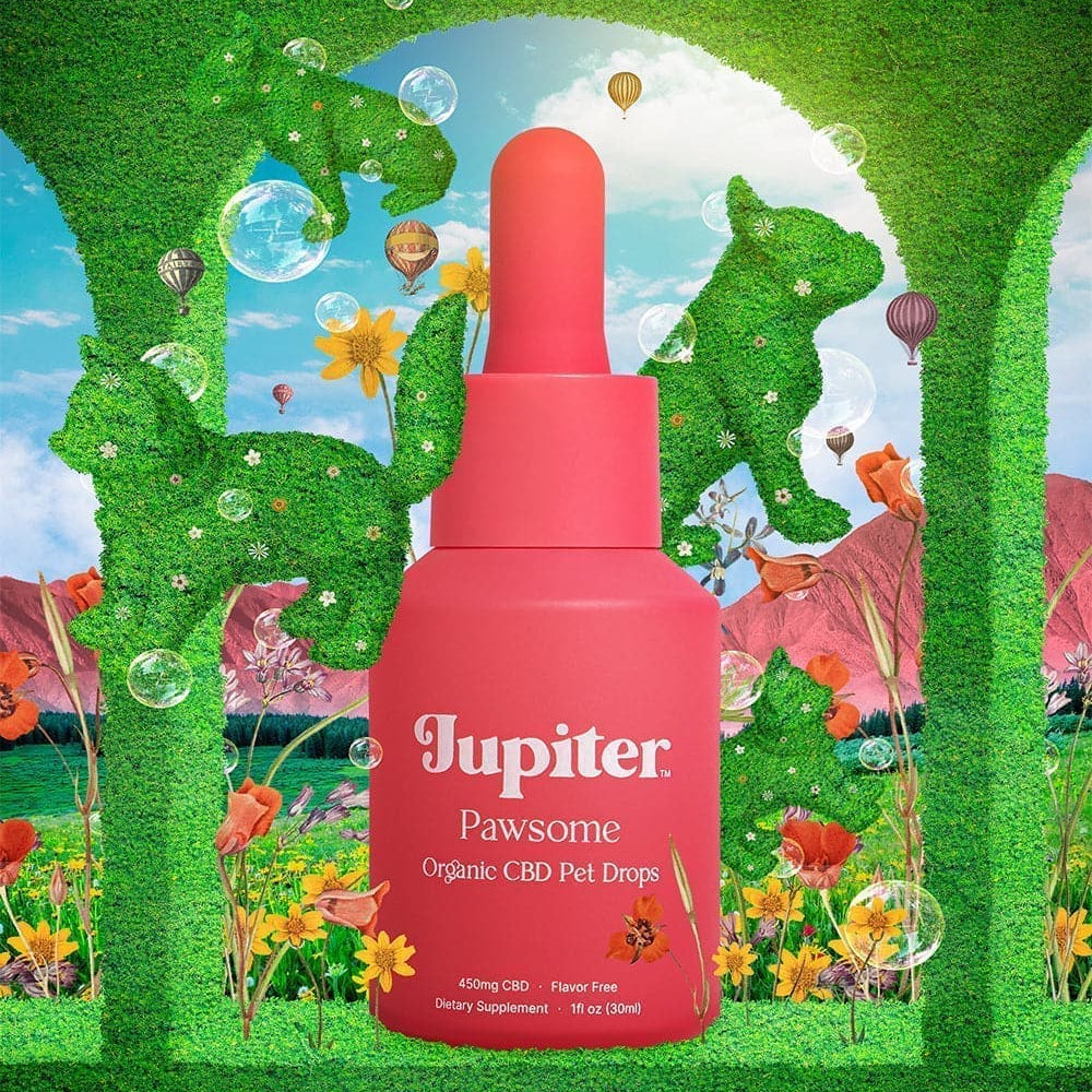 
                      
                        Pawsome - Organic CBD Pet Drops
                      
                    