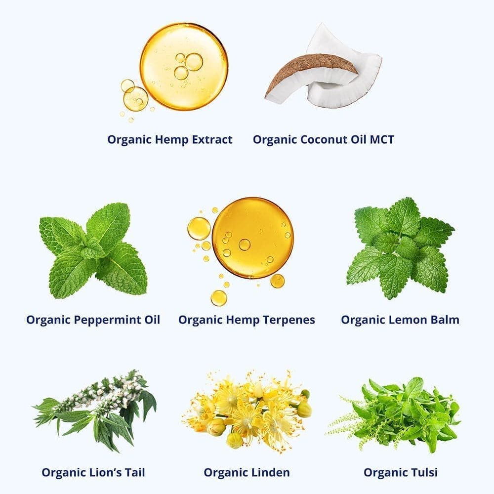 
                      
                        Oasis - Organic CBD Calm Drops
                      
                    