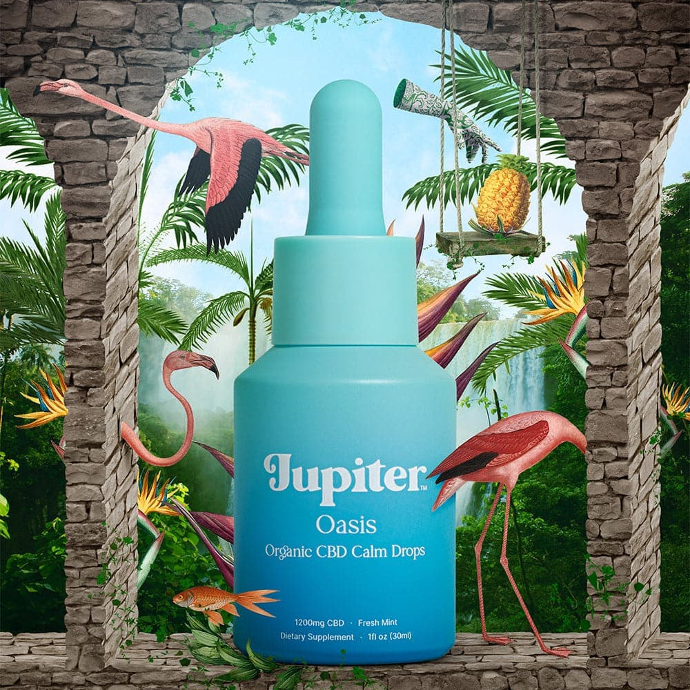 
                      
                        Calm Bundle - Organic Calm Drops
                      
                    