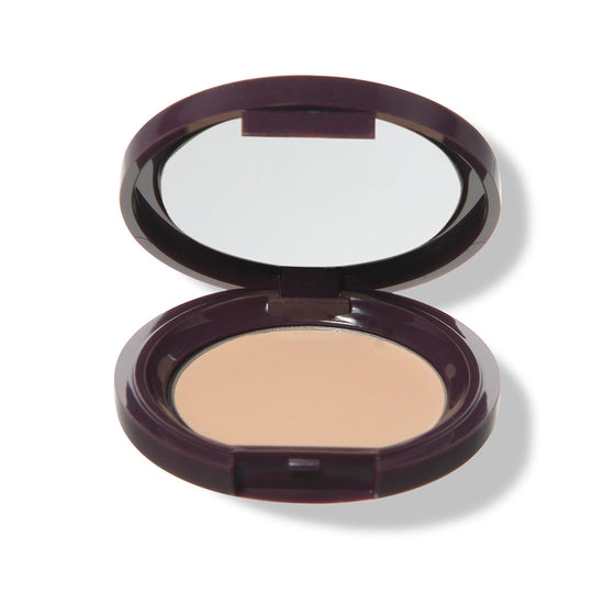 Fruit Pigmented® Long Last Concealer