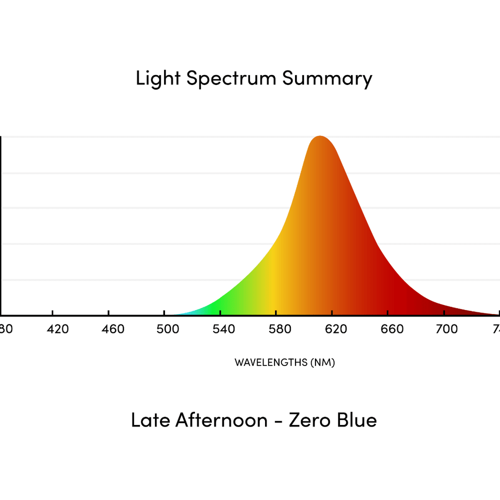 
                      
                        Circadian Bed Lamp
                      
                    