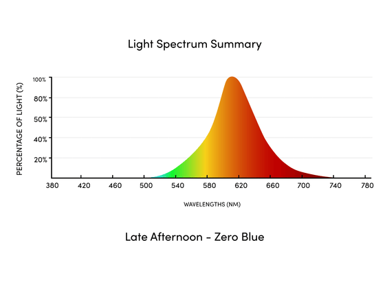 Circadian Bed Lamp