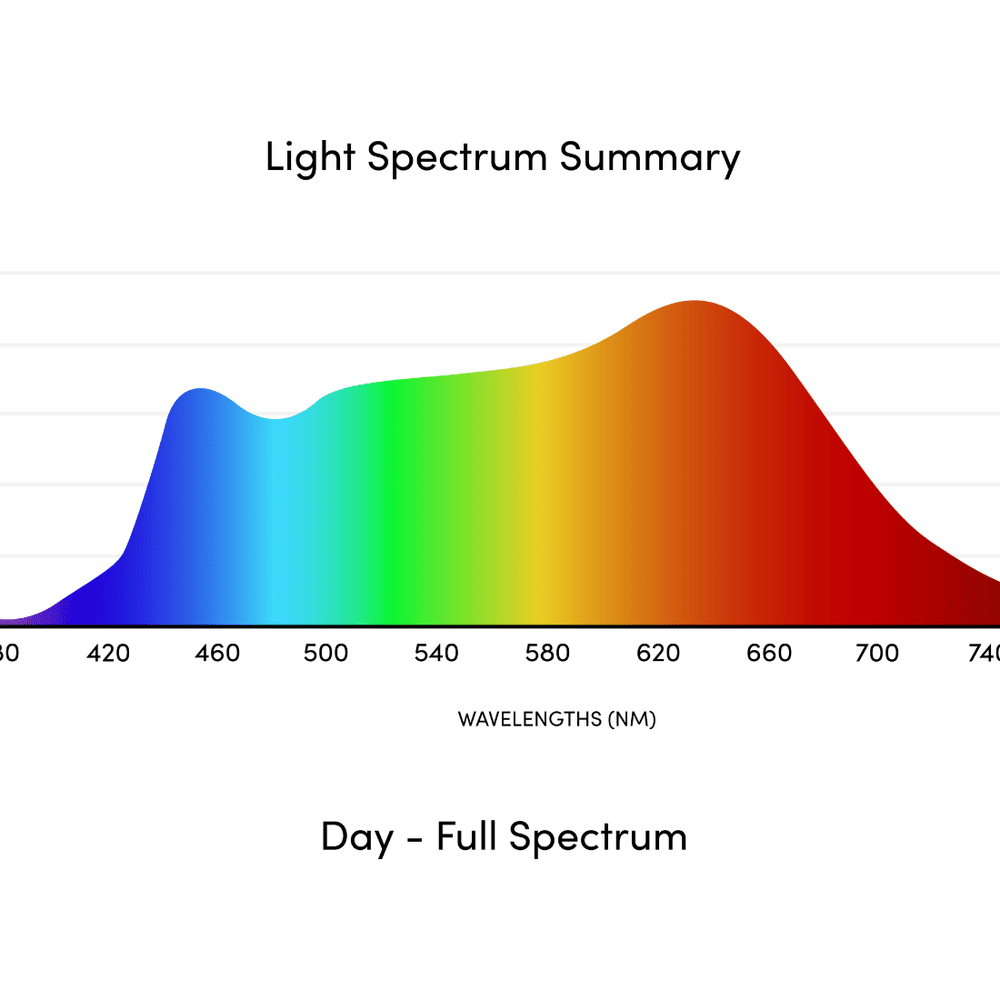 
                      
                        Circadian Bed Lamp
                      
                    