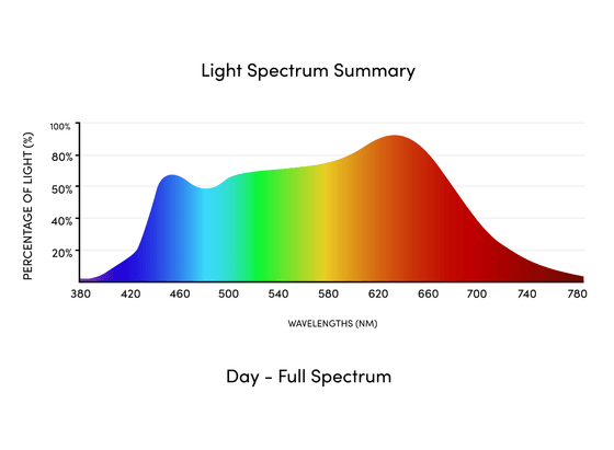 Circadian Bed Lamp