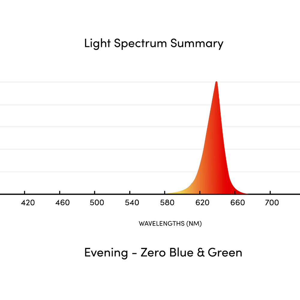 
                      
                        Circadian Bed Lamp
                      
                    