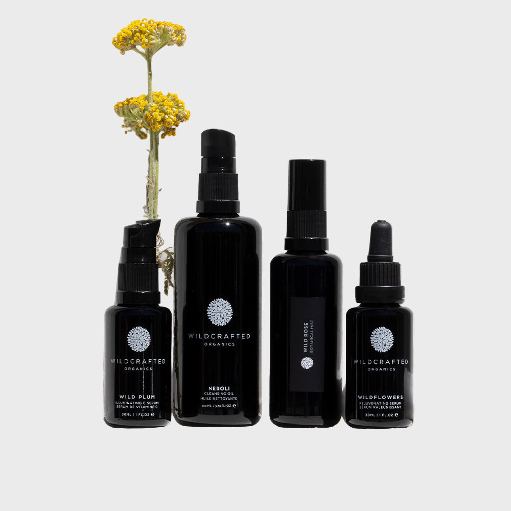 PURE RADIANCE RITUAL #2