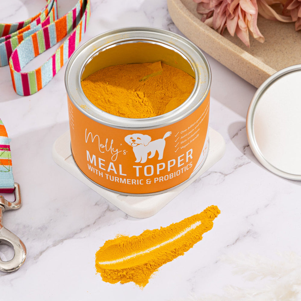 
                      
                        Meal Topper - Turmeric With Probiotics (Vegan)
                      
                    